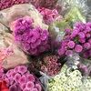 deerest_4
